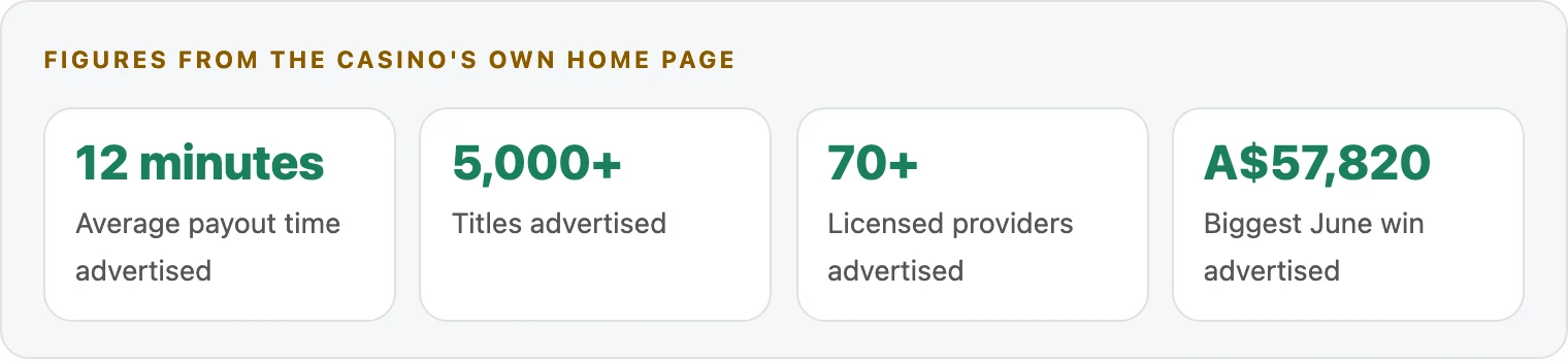 OzzyBet advertised figures key numbers infographic
